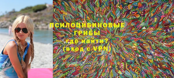 гидра Покровск
