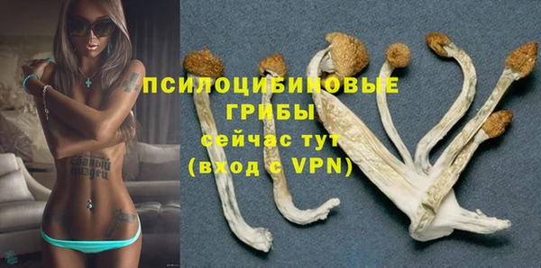 гидра Покровск