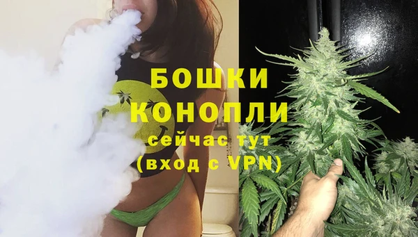 гидра Покровск