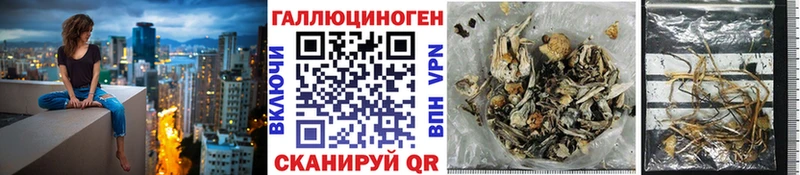 ссылка на мегу рабочий сайт  наркотики  Новоузенск  Галлюциногенные грибы мицелий 